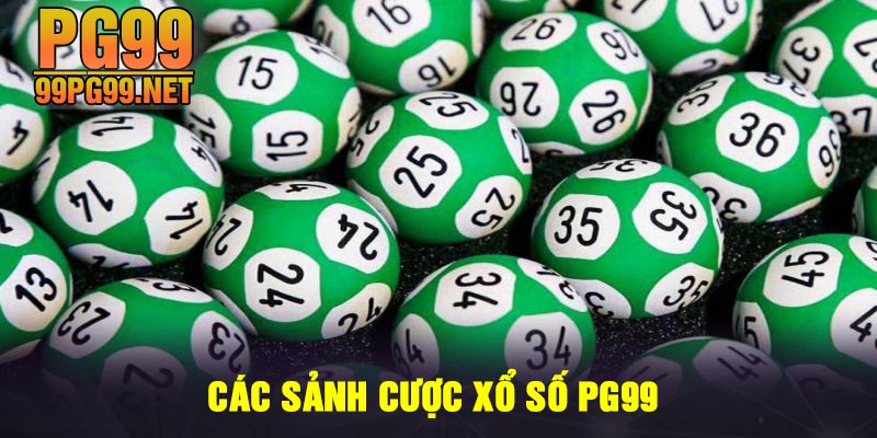 Cac sanh cuoc Xo So PG99 Các sảnh cược Xổ Số PG99
