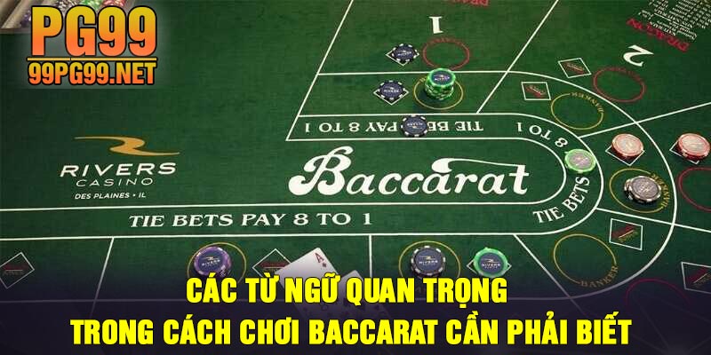 Cac tu ngu quan trong trong cach choi Baccarat can phai biet Các từ ngữ quan trọng trong cách chơi Baccarat cần phải biết