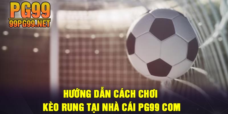 Huong dan cach choi keo rung tai nha cai PG99 Com Hướng dẫn cách chơi kèo rung tại nhà cái PG99 Com