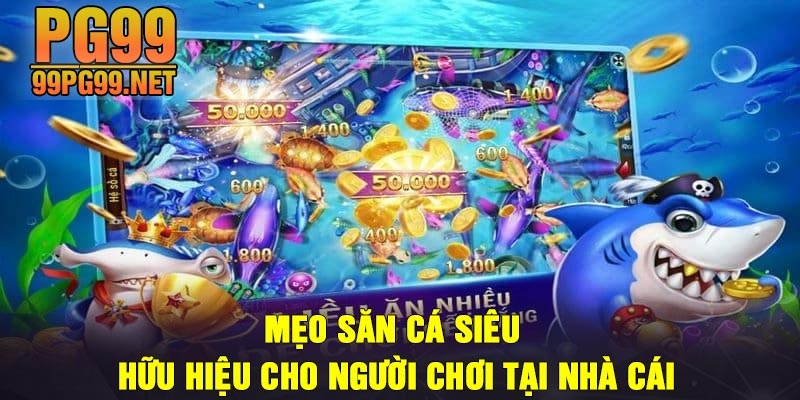 Meo san ca sieu huu hieu cho nguoi choi tai nha cai Mẹo săn cá siêu hữu hiệu cho người chơi tại nhà cái